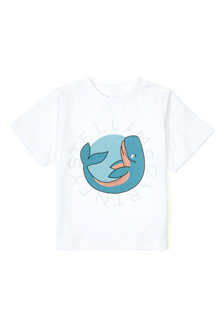 Multicolored Boys T-Shirt