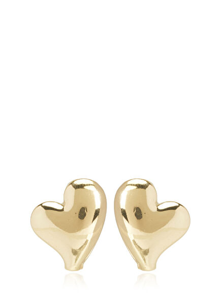Women's Earrings With Heart Detail