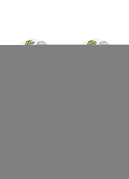 Taitu Desert Rose Desenli Fine Bone Porselen 2'li Kase Seti