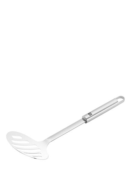 Pro Stainless Steel Skimmer