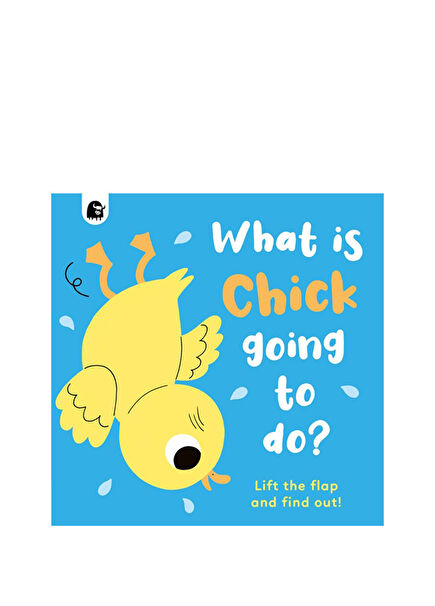 What Is Chick Going To Do Board Çocuk Yabancı Dil Kitabı
