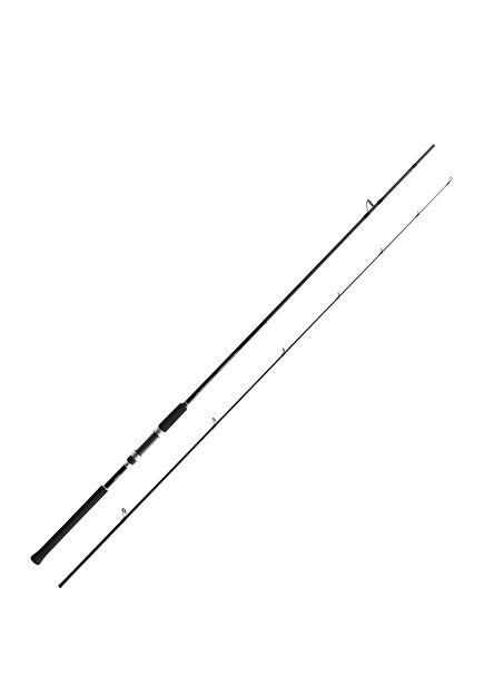 Salty Advance Seabass Spin Rod 2.90 m