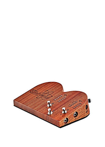 Quantumloop Digital Looper Pedal Stomp Box