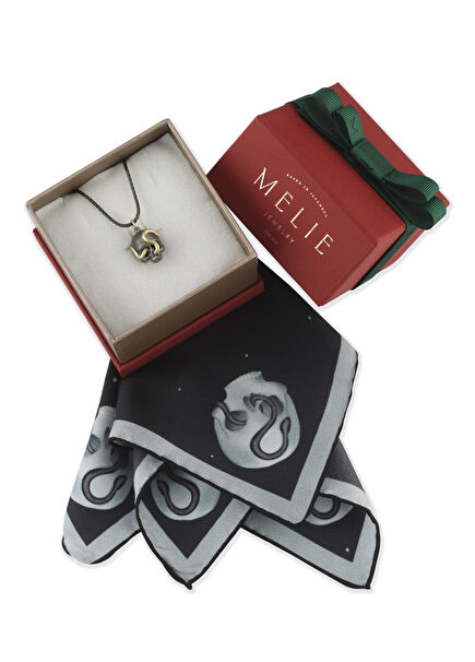 Skull 925 Sterling Silver Necklace & Silk Pocket Handkerchief Men's Gift Set