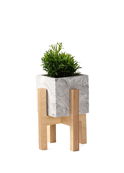 White Concrete Planter with Wooden Legs