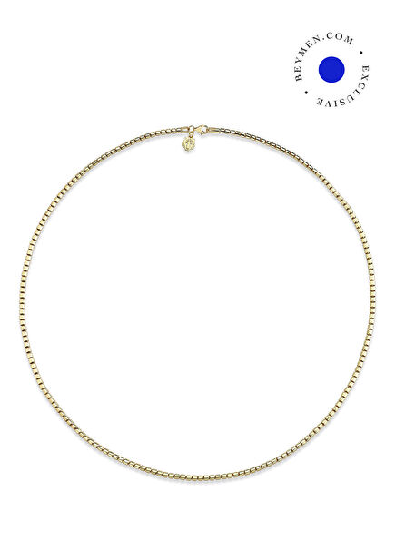 Kaplan Charm Storm 14 Ayar Altın Kaplama 925 Ayar Gümüş Erkek Kolye