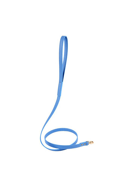 Balley Blue Dog Leash