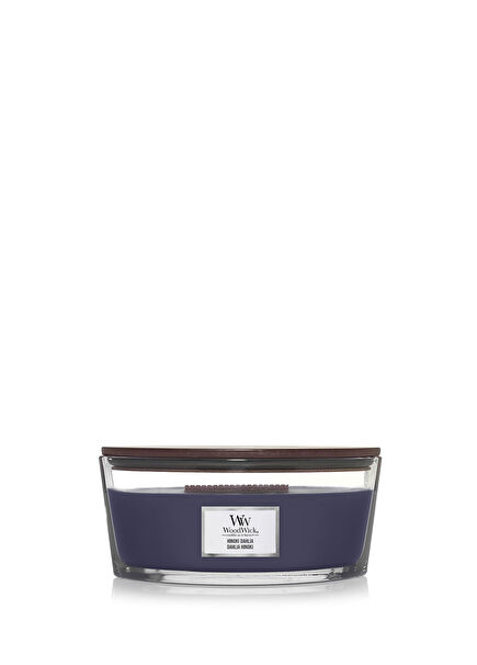 Hinoki Dahlia Ellipse Purple Candle 453 g