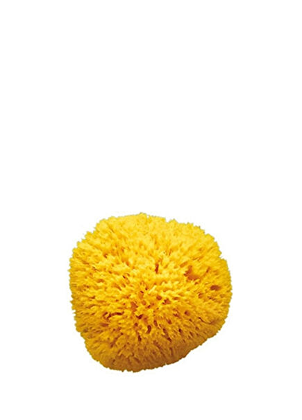 Natural Medium Bath Sponge No:12