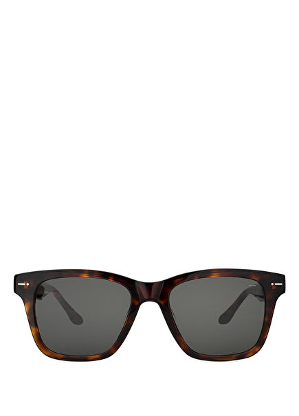 Sitaccs Brown Acetate Men's Sunglasses