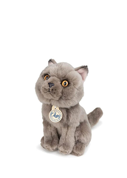 Bon Ton Toys Freddy The British Shorthair Boxed Plush Toy 17 cm