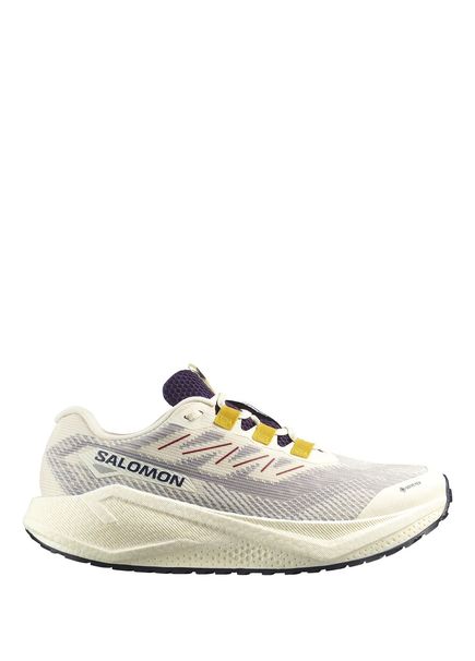 Aero Blaze 3 GRVL GORE-TEX Krem Erkek Koşu Ayakkabısı