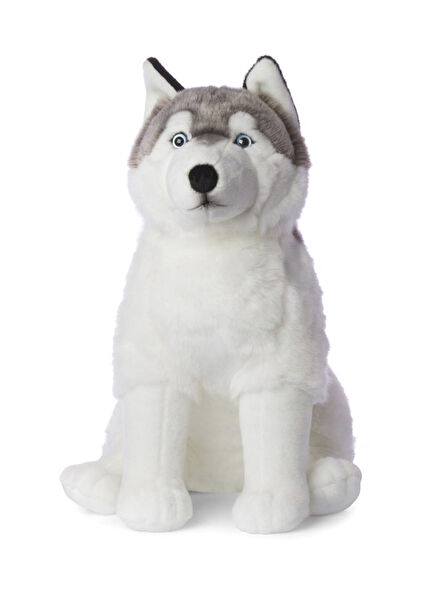 Siberian Husky Plush Toy 70 cm