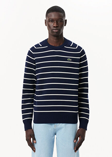 Navy Blue Regular Fit Crew Neck Striped Men's Knitwear