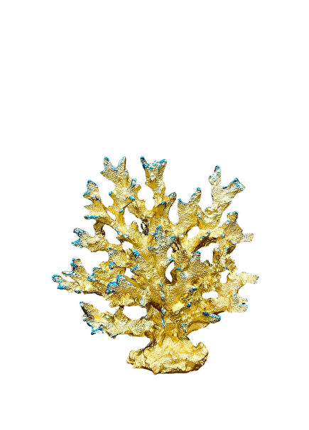Branched Decorative Coral Object 25x21 cm