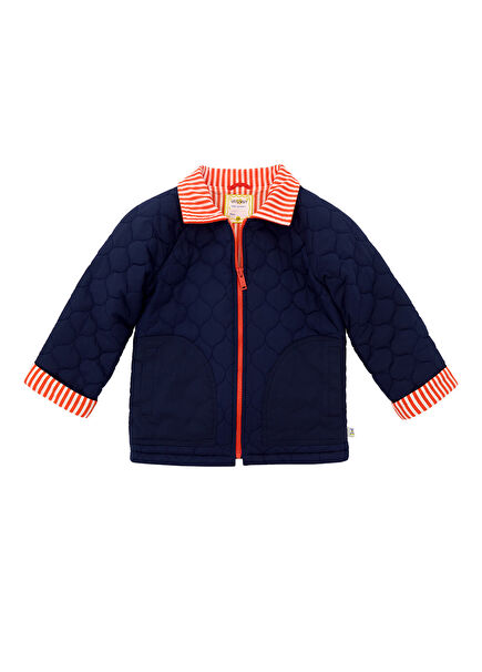 Navy Blue Cotton Quilted Boys' Coat