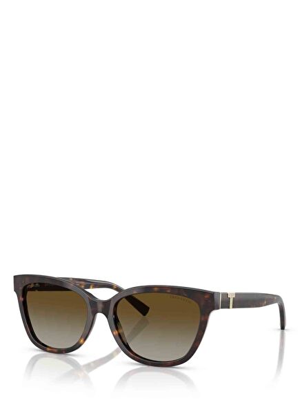 Brown Women's Sunglasses