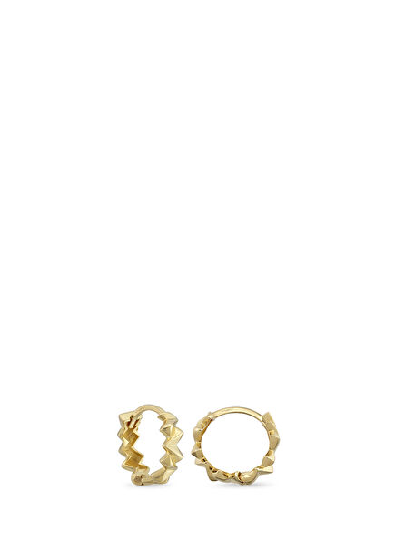 Epic 14K Yellow Gold Women's Hoop Earrings
