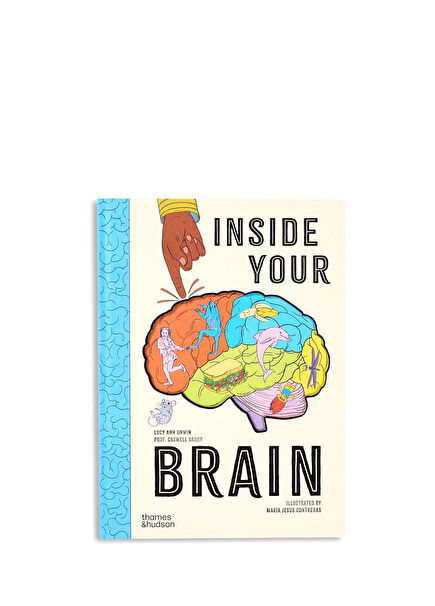 Inside Your Brain Children's Book