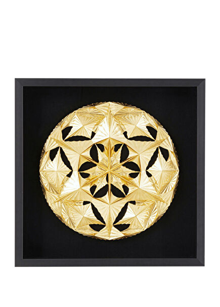 Leaf Ball Kanvas Tablo 60x60 cm