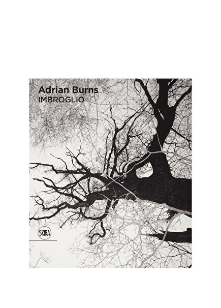 Adrian Burns (Bilingual edition): Imbroglio Yabancı Dil Fotoğraf Kitabı