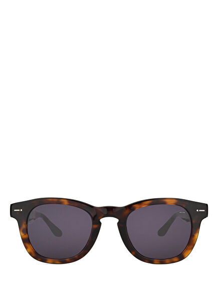 Sitadrs Brown Acetate Men's Sunglasses