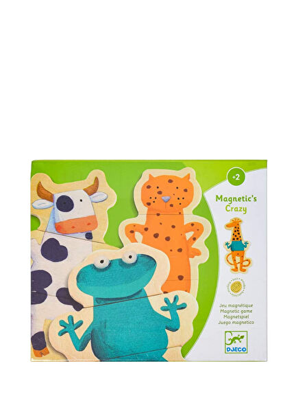 Crazy 25 Piece Magnetic Games Set