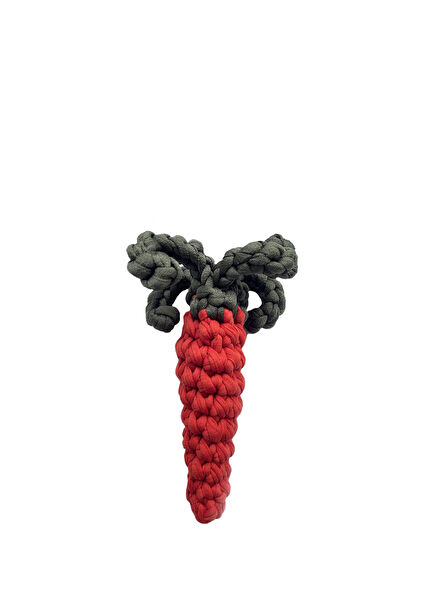 Carrot Köpek Oyuncağı