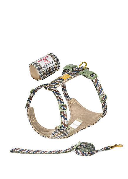 Çizgili Yünlü Pesto Tasma Köpek Kayışı ve Seti