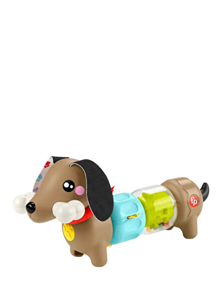 Fun Activities with the Puppy HTW91
