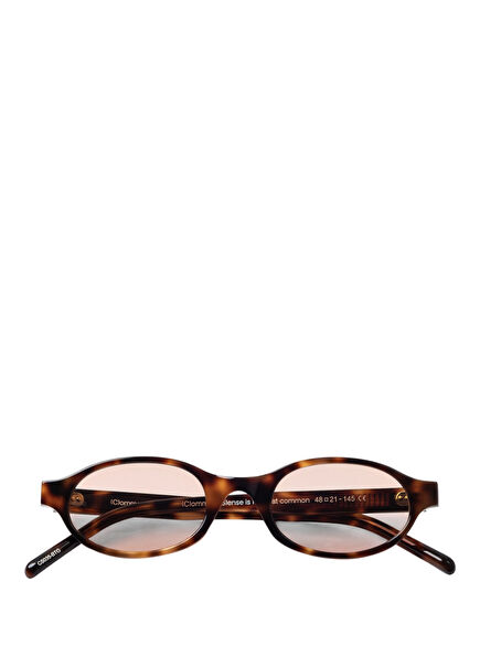 Havana Orange Acetate Women's Sunglasses