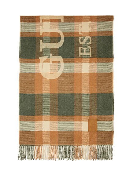 Salzburg Kahverengi Erkek Şal