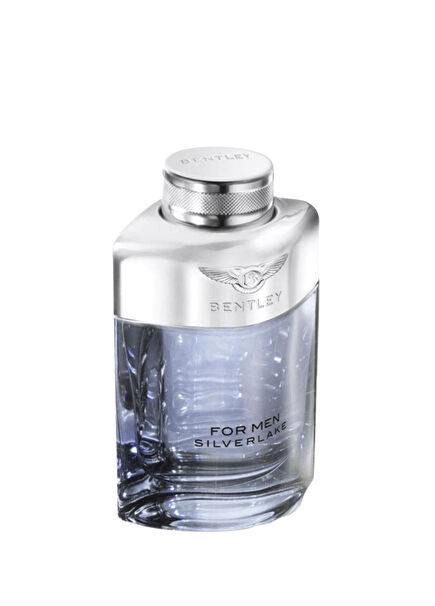 For Men Silverlake EDP 100 ml Erkek Parfüm