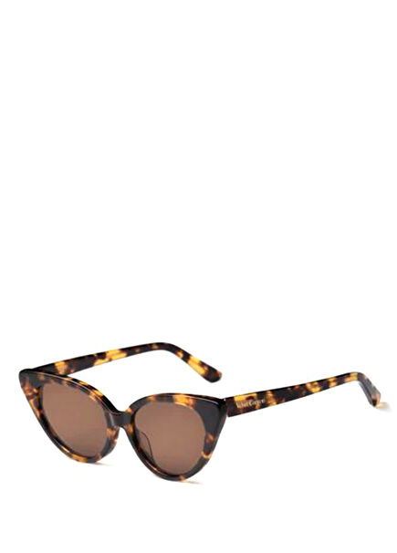 Femme Chat Asetat Havana Kadın Güneş Gözlüğü