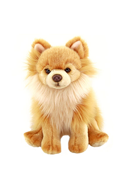 Floppy Pomeranian Peluş Oyuncak 28 cm 
