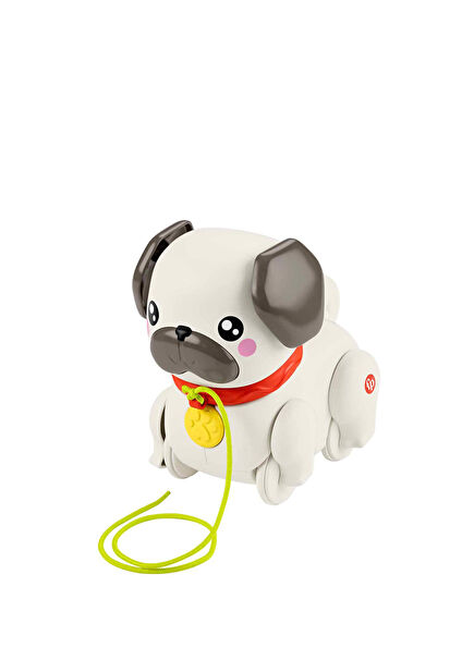 Fisher Price Walking with My Little Friend HTW94