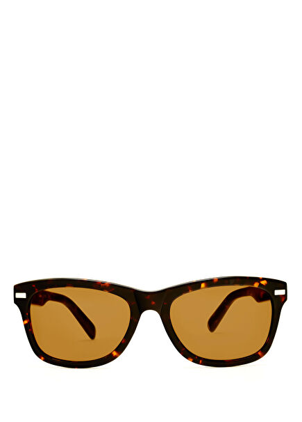 Elwood Asetat Mocha Karetta Erkek Güneş Gözlüğü