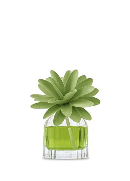 Room Freshener Flower Diffuser Must Supreme Fragrance 60 ml