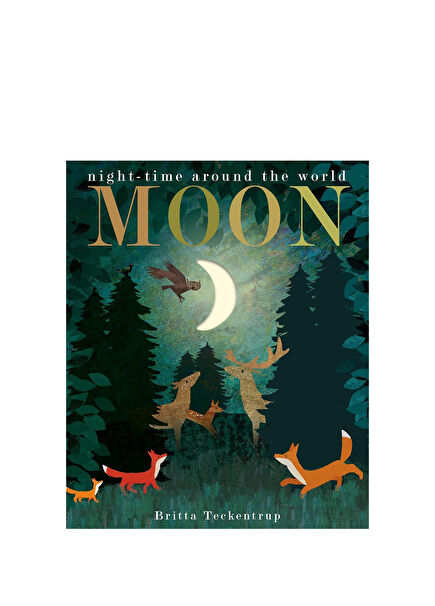 Moon Children's Foreign Language Book