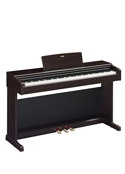 YDP145R Rosewood Digital Piano