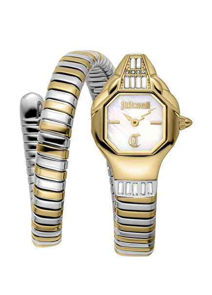 JC1L326M0055 Gold Metallic Grey Steel Women's Wristwatch