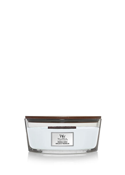 Magnolia Birch Ellipse Candle 453 g