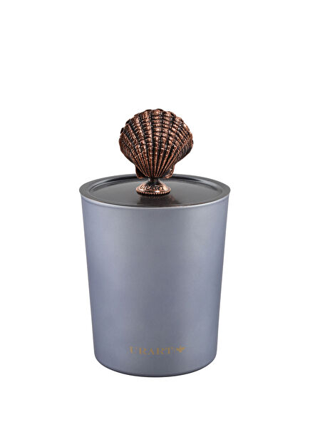 Oyster Candle