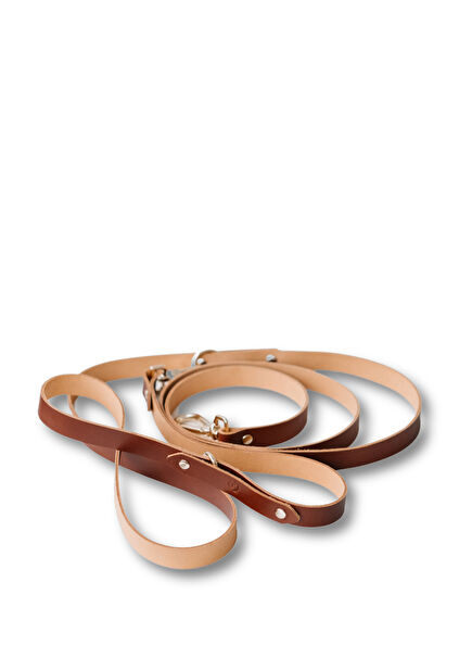 Hands-Free Konyak Köpek Gezdirme Kayışı 