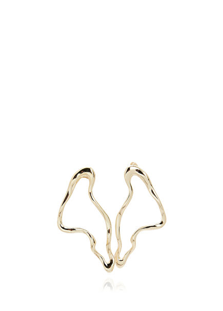 Curvy Women's Earrings