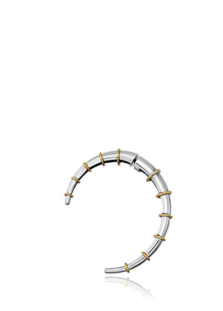 Sodium Earring Gold Plated Silver Women's Earrings