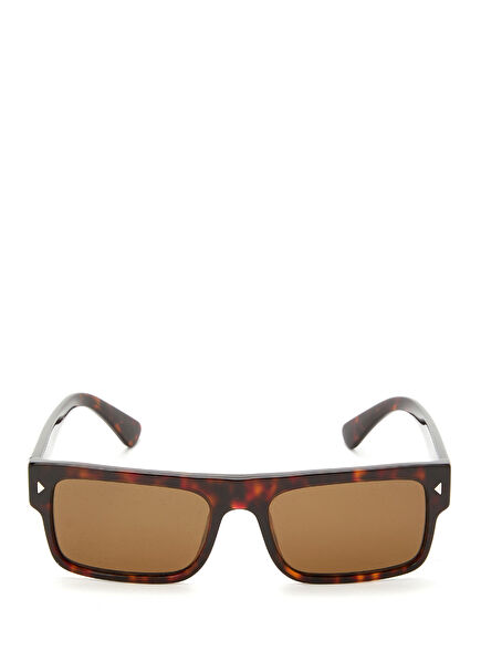 Turtle Patterned Men's Sunglasses