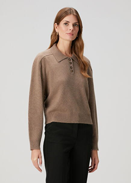 Homere Dark Beige Cashmere Polo Sweater