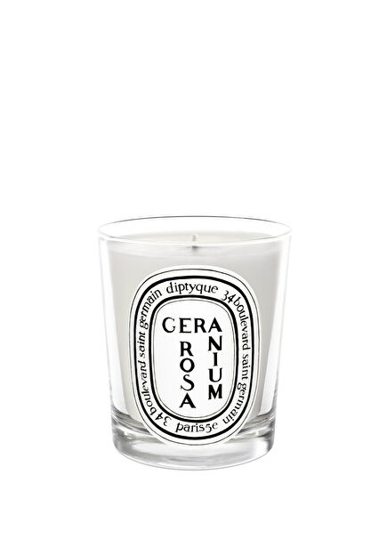 Standard Candle greranium Rosa 190 gr