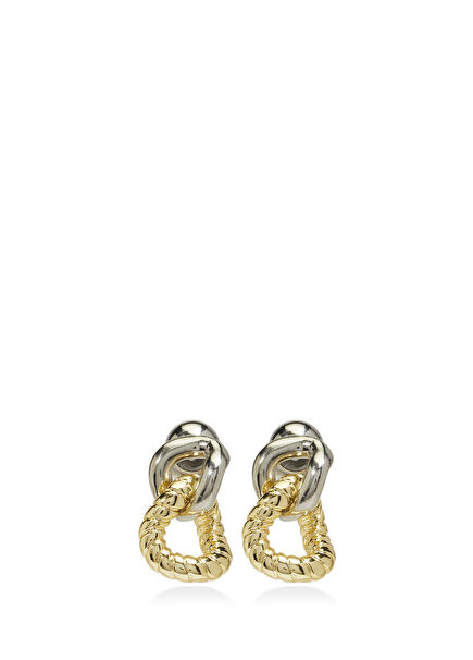 Chain-Shaped Women's Earrings